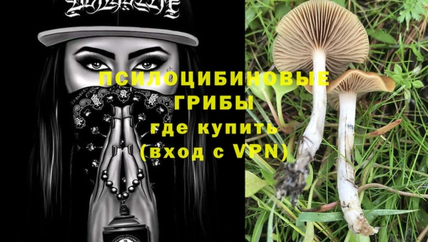 spice Дмитриев