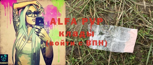 крисы Козловка