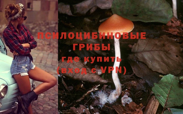 ECSTASY Дмитров