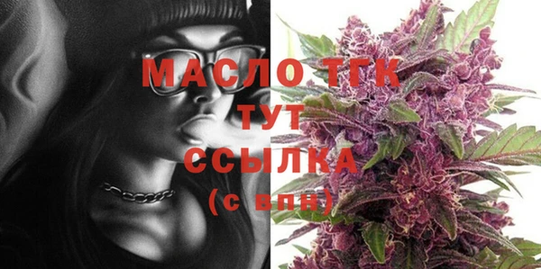 spice Дмитриев