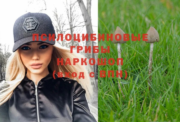 apvp Елабуга