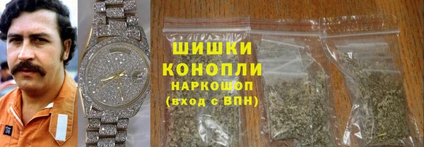 spice Дмитриев