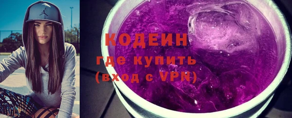 spice Дмитриев