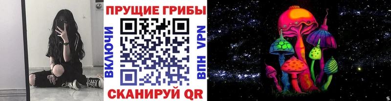 darknet какой сайт купить закладку Тарко-Сале Галлюциногенные грибы мицелий